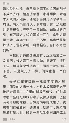 爱游戏平台合作意甲